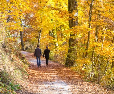 Wandern Graz