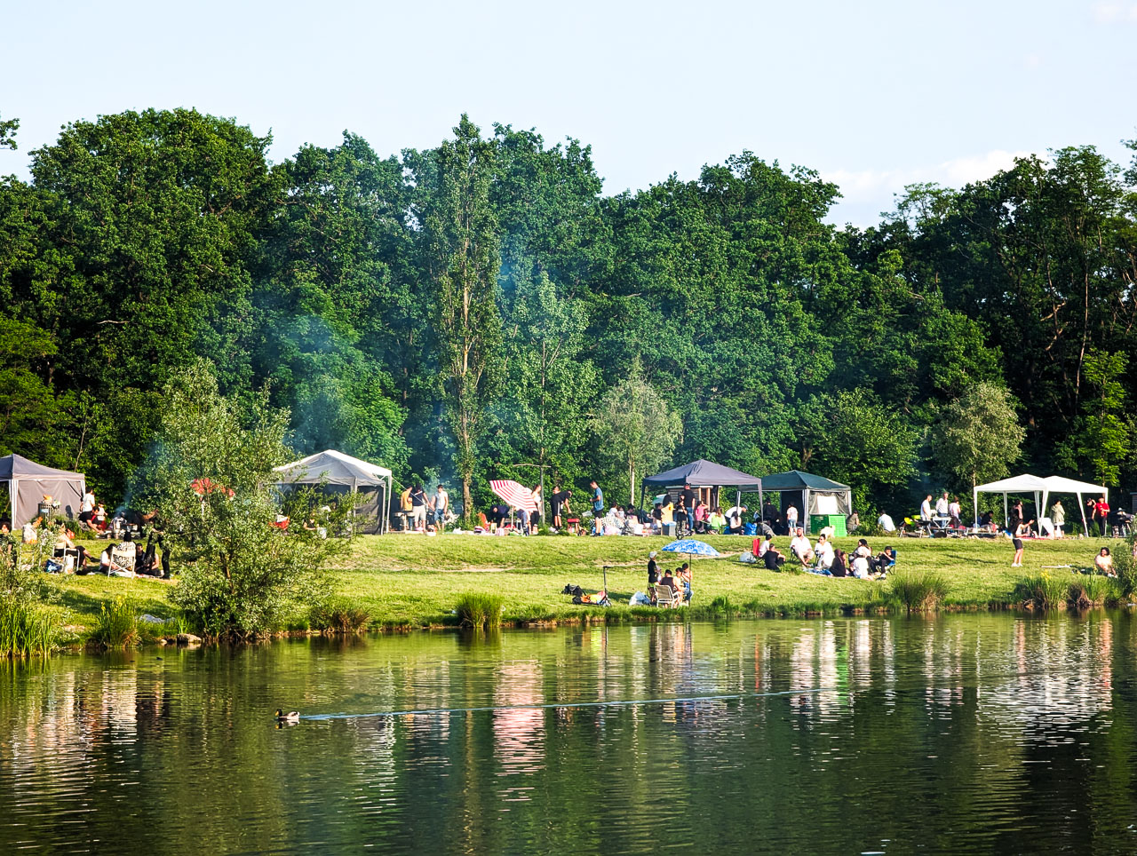 Grillen Auwiesen