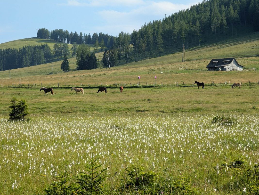 Teichalm Ausflug